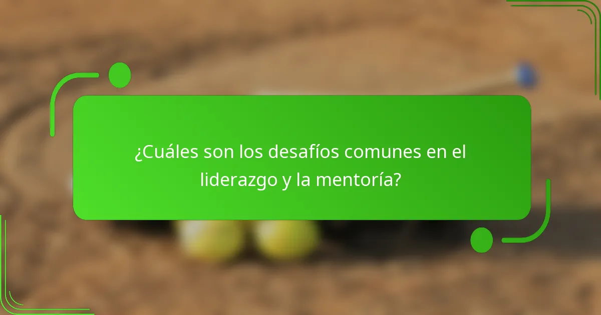 ¿Cuáles son los desafíos comunes en el liderazgo y la mentoría?